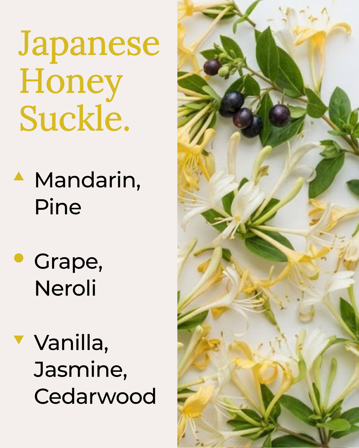 Japanese Honeysuckle Soy Melts
