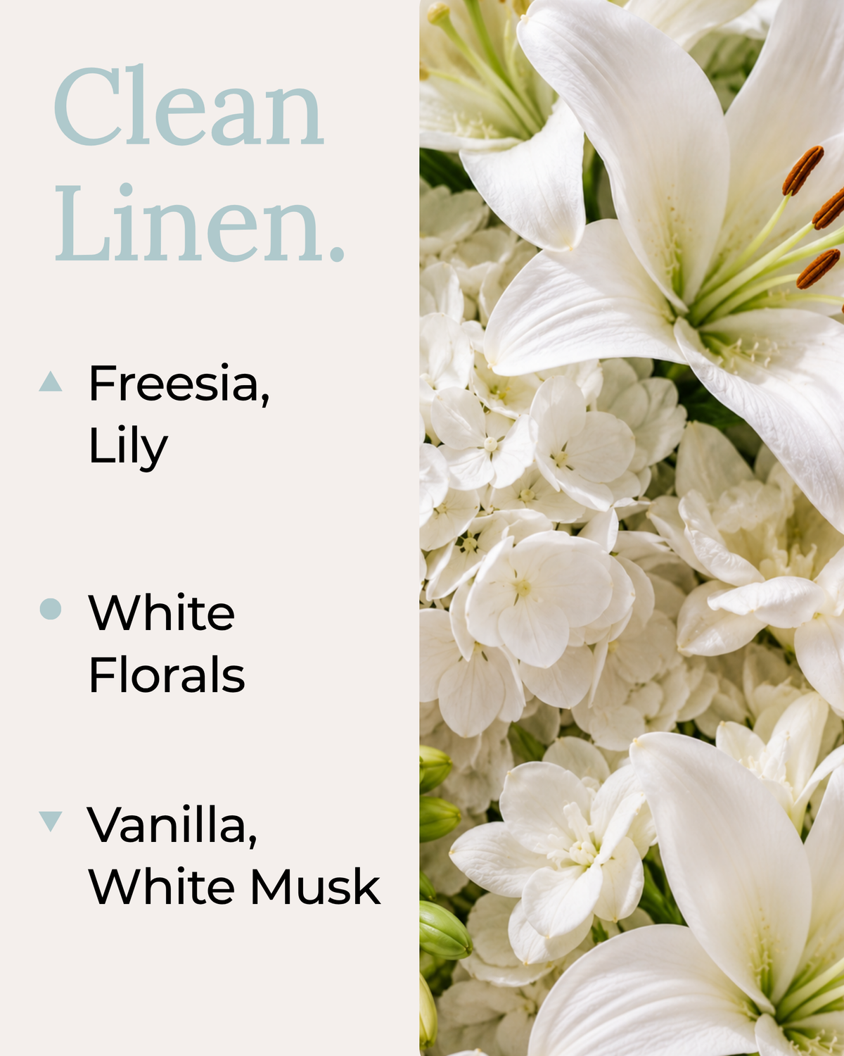 Clean Linen reed diffuser scent notes featuring freesia, lily, white florals, vanilla and white musk.