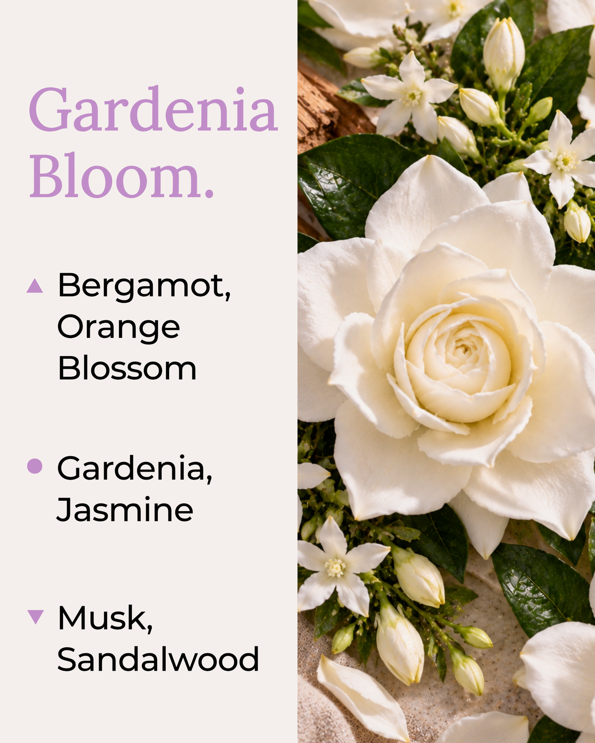 Gardenia Bloom fragrance notes with gardenia, jasmine, bergamot, orange blossom, musk and sandalwood.