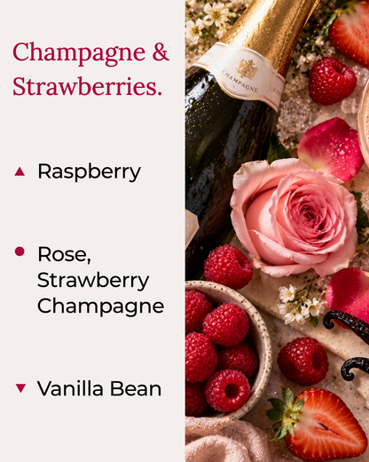 Graphic displaying Harlequin Candles Berry Bubbly fragrance notes. Top note: Raspberry. Middle notes: Rose, Strawberry, Champagne. Base note: Vanilla Bean. Scent profile is rated as Balanced. The image shows a champagne flute filled with a sparkling drink, fresh strawberries, and raspberries.
