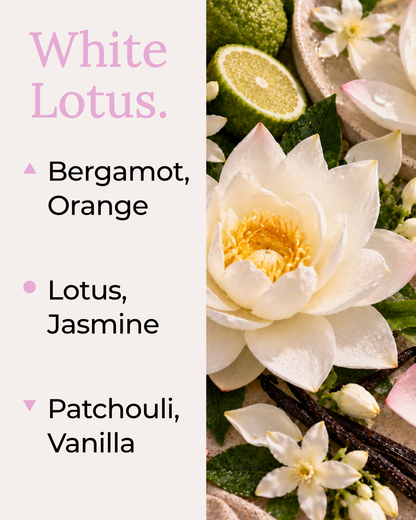 Graphic displaying Harlequin Candles White Lotus Luxe fragrance notes. Top notes: Orange, Mandarin. Middle notes: Lotus, Jasmine. Base notes: Patchouli, Vanilla. Scent profile is rated as Balanced. The image shows a beautiful white lotus flower and fresh oranges.