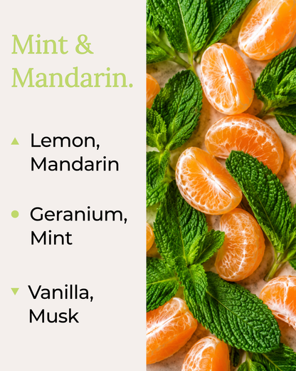 Mint & Mandarin fragrance notes by Harlequin Candles with lemon and mandarin top notes, geranium and mint heart notes, and vanilla and musk base notes.