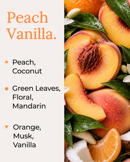 A vibrant fragrance note graphic for the Peach Vanilla coconut soy candle by Harlequin Candles. The image shows a background of fresh, halved peaches and dark vanilla beans. Text on the left lists top notes of Peach and Coconut, mid notes of Green Leaves, Floral, and Mandarin, and base notes of Orange, Musk, and Vanilla.